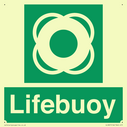 lifebuoy-with-symbol~